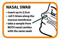 Antigen Nasal swab EN:  (© )
