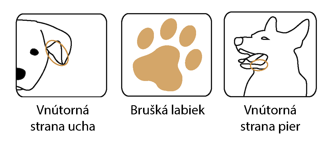 WellionVet Messgeräte für Tiere - Blutentnahmestellen Abbildung