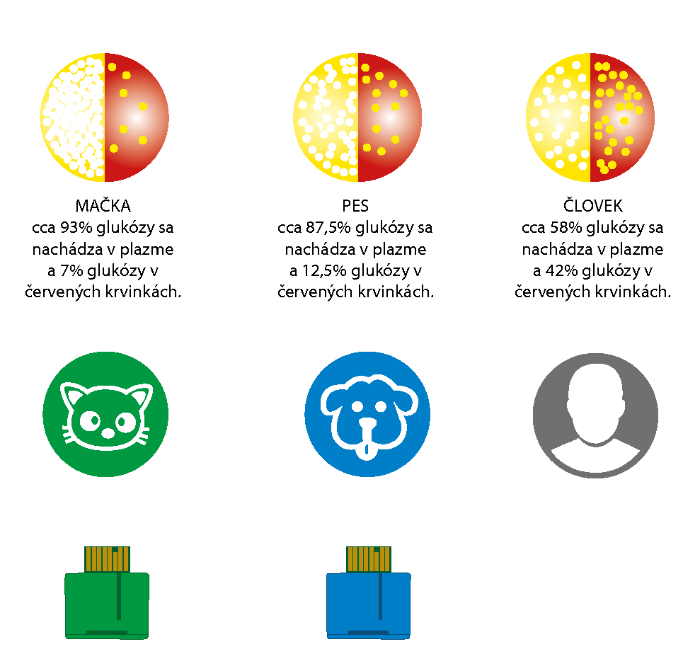 Die Verteilung von Glukose und Plasma im Blut von Menschen und Tieren ist unterschiedlich.
